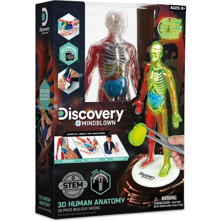 Discovery Mindblown 3D Human Anatomy 28-Piece Biology Model